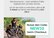 savemore2026